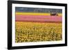 Tractor and Tulips I-Dana Styber-Framed Photographic Print