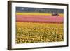 Tractor and Tulips I-Dana Styber-Framed Photographic Print