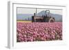 Tractor and Tulips II-Dana Styber-Framed Photographic Print