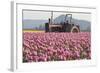 Tractor and Tulips II-Dana Styber-Framed Photographic Print