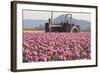 Tractor and Tulips II-Dana Styber-Framed Photographic Print