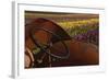 Tractor at the Tulip Festival, Woodburn, Oregon, USA-Michel Hersen-Framed Photographic Print
