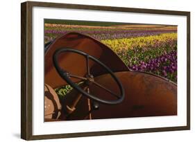 Tractor at the Tulip Festival, Woodburn, Oregon, USA-Michel Hersen-Framed Photographic Print