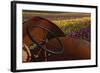 Tractor at the Tulip Festival, Woodburn, Oregon, USA-Michel Hersen-Framed Photographic Print