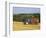 Tractor Collecting Hay Bales at Harvest Time, the Coltswolds, England-David Hughes-Framed Photographic Print