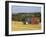 Tractor Collecting Hay Bales at Harvest Time, the Coltswolds, England-David Hughes-Framed Photographic Print