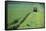 Tractor Cutting Grass for Silage-Jeremy Walker-Framed Stretched Canvas