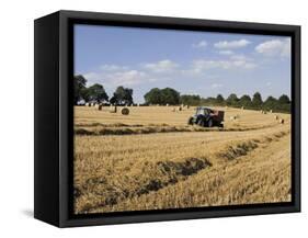 Tractor Harvesting Near Chipping Campden, Along the Cotswolds Way Footpath, the Cotswolds, England-David Hughes-Framed Stretched Canvas