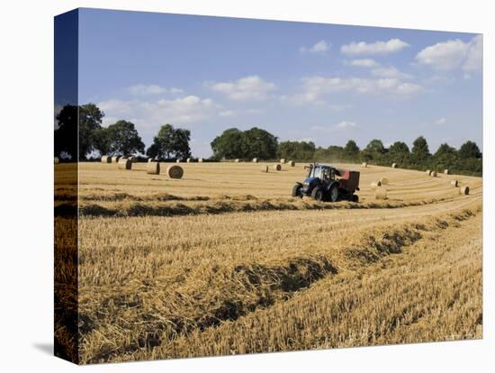 Tractor Harvesting Near Chipping Campden, Along the Cotswolds Way Footpath, the Cotswolds, England-David Hughes-Stretched Canvas