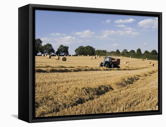 Tractor Harvesting Near Chipping Campden, Along the Cotswolds Way Footpath, the Cotswolds, England-David Hughes-Framed Stretched Canvas