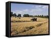 Tractor Harvesting Near Chipping Campden, Along the Cotswolds Way Footpath, the Cotswolds, England-David Hughes-Framed Stretched Canvas