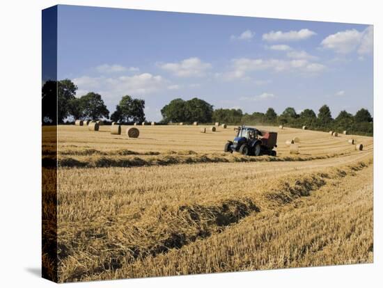 Tractor Harvesting Near Chipping Campden, Along the Cotswolds Way Footpath, the Cotswolds, England-David Hughes-Stretched Canvas