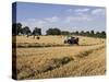 Tractor Harvesting Near Chipping Campden, Along the Cotswolds Way Footpath, the Cotswolds, England-David Hughes-Stretched Canvas