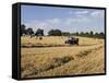 Tractor Harvesting Near Chipping Campden, Along the Cotswolds Way Footpath, the Cotswolds, England-David Hughes-Framed Stretched Canvas