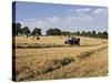 Tractor Harvesting Near Chipping Campden, Along the Cotswolds Way Footpath, the Cotswolds, England-David Hughes-Stretched Canvas