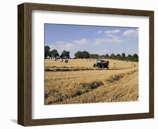 Tractor Harvesting Near Chipping Campden, Along the Cotswolds Way Footpath, the Cotswolds, England-David Hughes-Framed Photographic Print