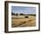 Tractor Harvesting Near Chipping Campden, Along the Cotswolds Way Footpath, the Cotswolds, England-David Hughes-Framed Photographic Print