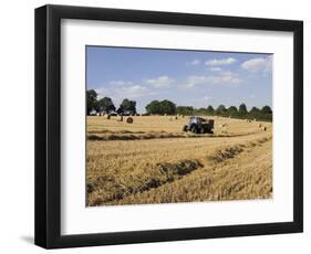 Tractor Harvesting Near Chipping Campden, Along the Cotswolds Way Footpath, the Cotswolds, England-David Hughes-Framed Photographic Print