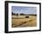 Tractor Harvesting Near Chipping Campden, Along the Cotswolds Way Footpath, the Cotswolds, England-David Hughes-Framed Photographic Print