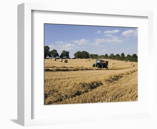 Tractor Harvesting Near Chipping Campden, Along the Cotswolds Way Footpath, the Cotswolds, England-David Hughes-Framed Photographic Print