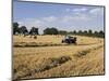 Tractor Harvesting Near Chipping Campden, Along the Cotswolds Way Footpath, the Cotswolds, England-David Hughes-Mounted Photographic Print