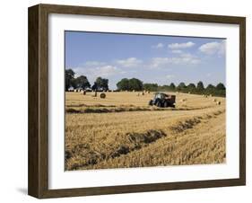 Tractor Harvesting Near Chipping Campden, Along the Cotswolds Way Footpath, the Cotswolds, England-David Hughes-Framed Photographic Print