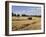 Tractor Harvesting Near Chipping Campden, Along the Cotswolds Way Footpath, the Cotswolds, England-David Hughes-Framed Photographic Print