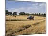 Tractor Harvesting Near Chipping Campden, Along the Cotswolds Way Footpath, the Cotswolds, England-David Hughes-Mounted Photographic Print