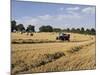 Tractor Harvesting Near Chipping Campden, Along the Cotswolds Way Footpath, the Cotswolds, England-David Hughes-Mounted Photographic Print