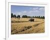 Tractor Harvesting Near Chipping Campden, Along the Cotswolds Way Footpath, the Cotswolds, England-David Hughes-Framed Photographic Print