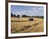 Tractor Harvesting Near Chipping Campden, Along the Cotswolds Way Footpath, the Cotswolds, England-David Hughes-Framed Photographic Print