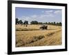 Tractor Harvesting Near Chipping Campden, Along the Cotswolds Way Footpath, the Cotswolds, England-David Hughes-Framed Photographic Print