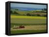 Tractor in Field at Harvest Time, East of Faborg, Funen Island, Denmark, Scandinavia, Europe-Woolfitt Adam-Framed Stretched Canvas