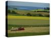 Tractor in Field at Harvest Time, East of Faborg, Funen Island, Denmark, Scandinavia, Europe-Woolfitt Adam-Stretched Canvas