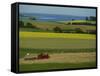 Tractor in Field at Harvest Time, East of Faborg, Funen Island, Denmark, Scandinavia, Europe-Woolfitt Adam-Framed Stretched Canvas