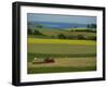 Tractor in Field at Harvest Time, East of Faborg, Funen Island, Denmark, Scandinavia, Europe-Woolfitt Adam-Framed Photographic Print