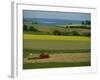 Tractor in Field at Harvest Time, East of Faborg, Funen Island, Denmark, Scandinavia, Europe-Woolfitt Adam-Framed Photographic Print