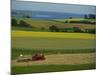 Tractor in Field at Harvest Time, East of Faborg, Funen Island, Denmark, Scandinavia, Europe-Woolfitt Adam-Mounted Photographic Print