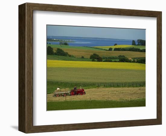 Tractor in Field at Harvest Time, East of Faborg, Funen Island, Denmark, Scandinavia, Europe-Woolfitt Adam-Framed Photographic Print