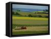 Tractor in Field at Harvest Time, East of Faborg, Funen Island, Denmark, Scandinavia, Europe-Woolfitt Adam-Framed Stretched Canvas