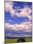 Tractor in Field, Eastern Washington, USA-Terry Eggers-Mounted Photographic Print