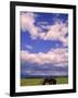 Tractor in Field, Eastern Washington, USA-Terry Eggers-Framed Photographic Print