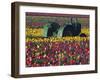 Tractor in the Tulip Field, Tulip Festival, Woodburn, Oregon, USA-Michel Hersen-Framed Premium Photographic Print