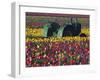 Tractor in the Tulip Field, Tulip Festival, Woodburn, Oregon, USA-Michel Hersen-Framed Premium Photographic Print