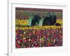 Tractor in the Tulip Field, Tulip Festival, Woodburn, Oregon, USA-Michel Hersen-Framed Photographic Print