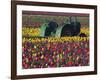 Tractor in the Tulip Field, Tulip Festival, Woodburn, Oregon, USA-Michel Hersen-Framed Photographic Print