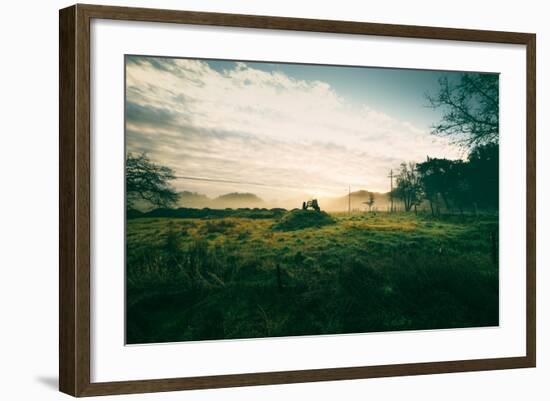 Tractor Landscape, Misty Sonoma County Morning, Bay Area-Vincent James-Framed Photographic Print