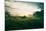 Tractor Landscape, Misty Sonoma County Morning, Bay Area-Vincent James-Mounted Photographic Print