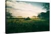 Tractor Landscape, Misty Sonoma County Morning, Bay Area-Vincent James-Stretched Canvas