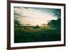 Tractor Landscape, Misty Sonoma County Morning, Bay Area-Vincent James-Framed Photographic Print